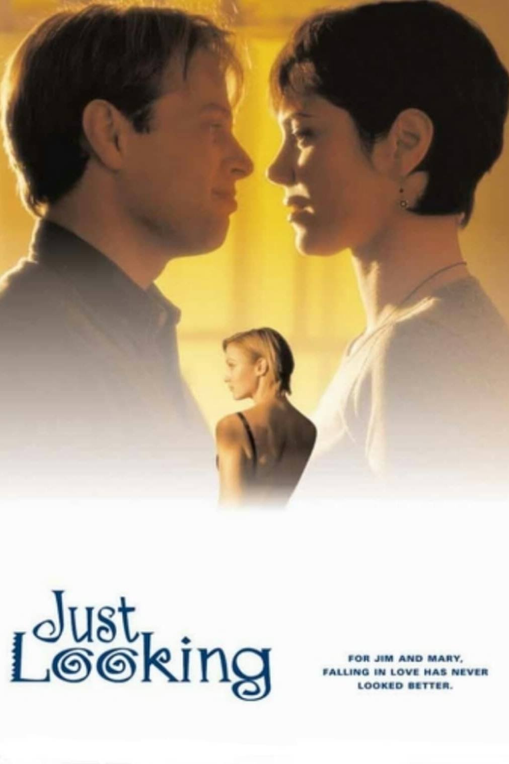 Постер Just Looking